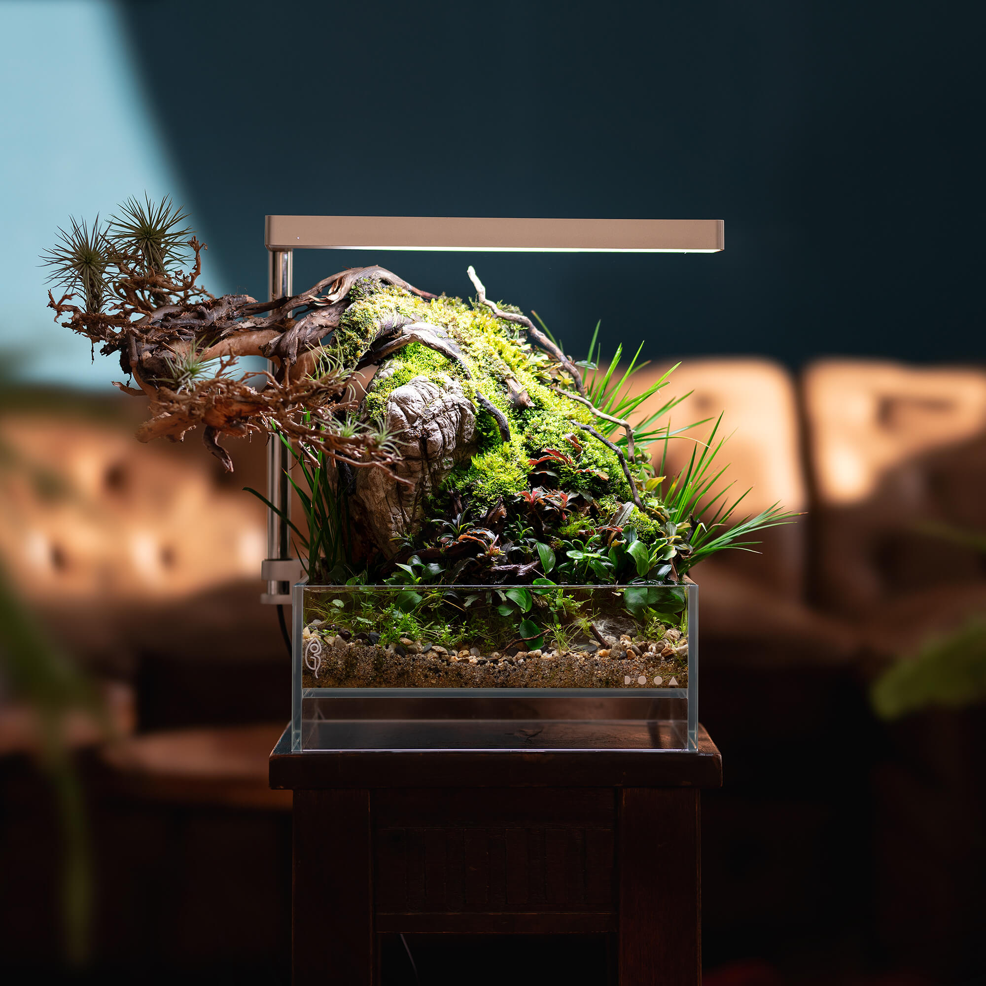 Jonas Loose Bonsai Scape