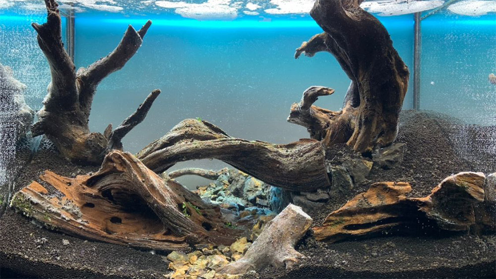 Einrichtungsbeispiel Aquarium Hardscape