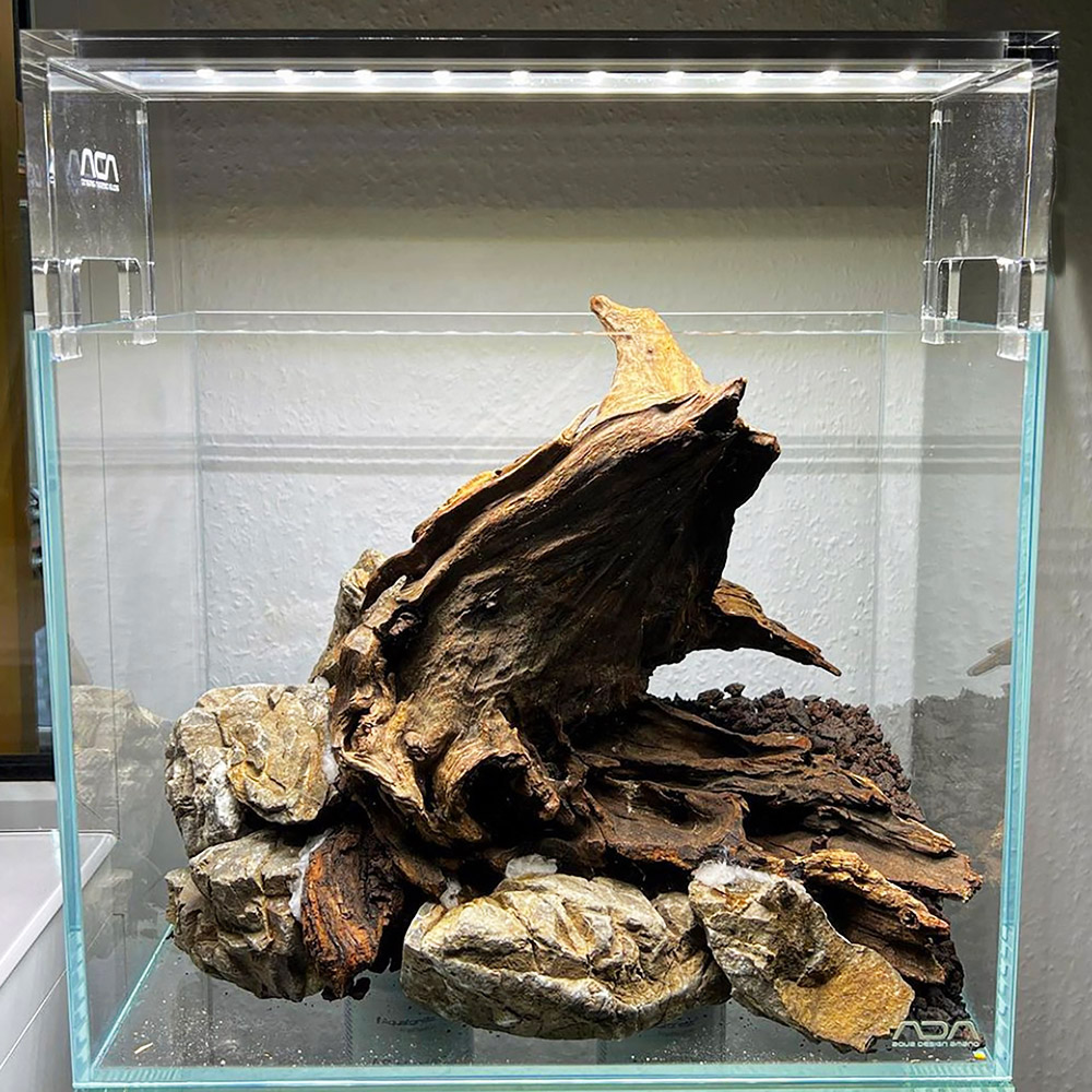 Frodo Stone in Größe S
