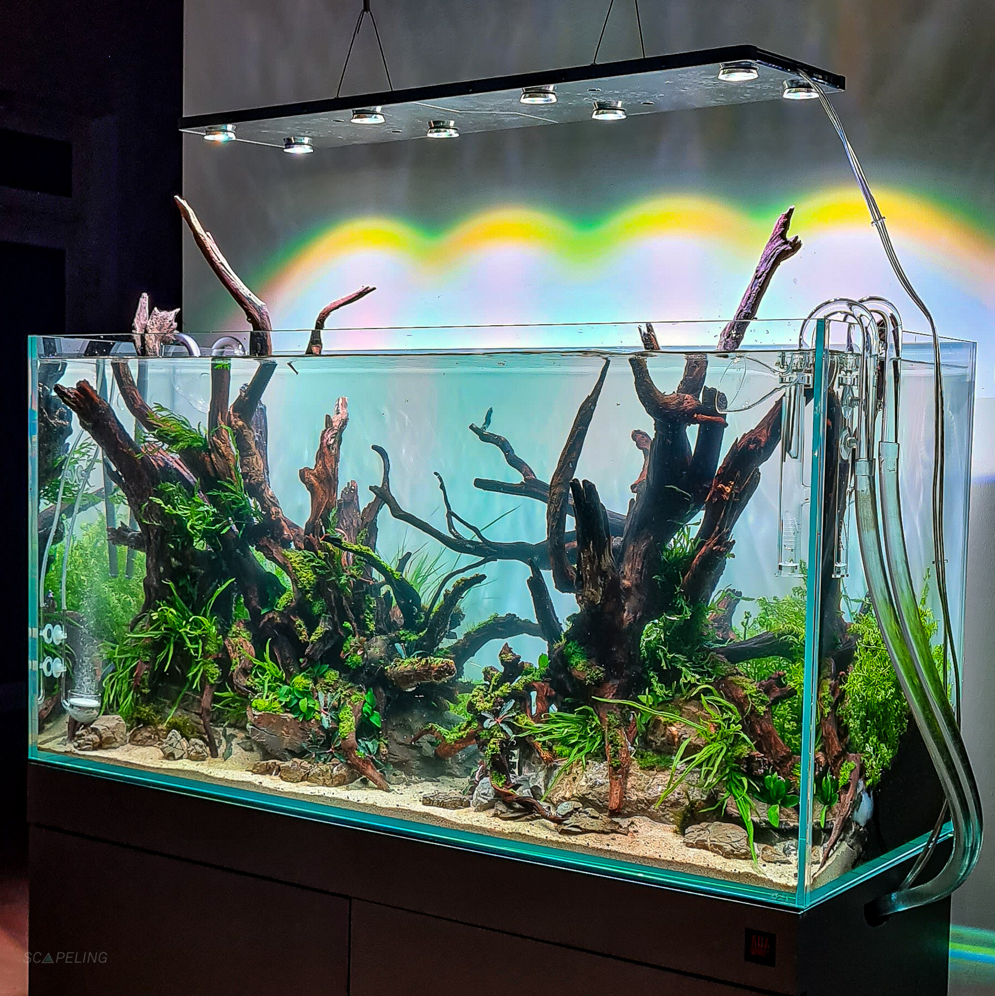 Skylight RGB Hyperspot über einem Aquarium