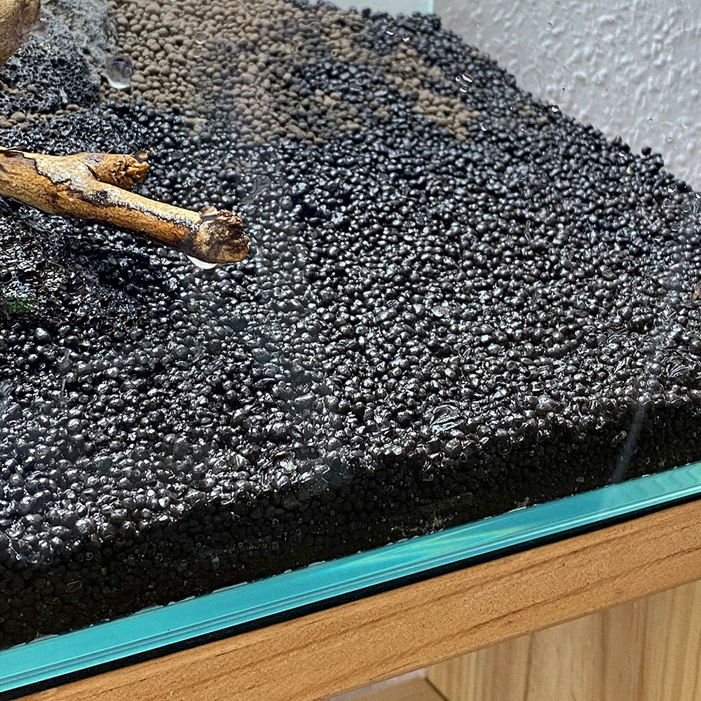 Feuchter Soil Bodengrund in einem Aquarium vor dem einsetzen der in vitro Pflanzen