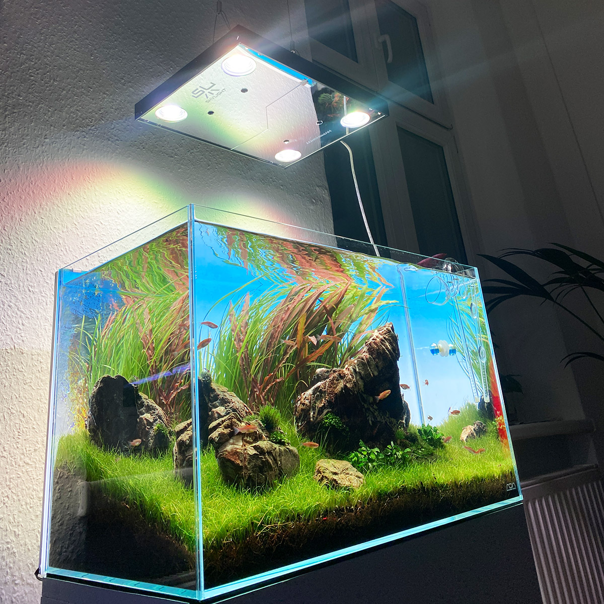 Hightech Aquarium mit CO2 Düngung, starker Beleuchtung und Düngung