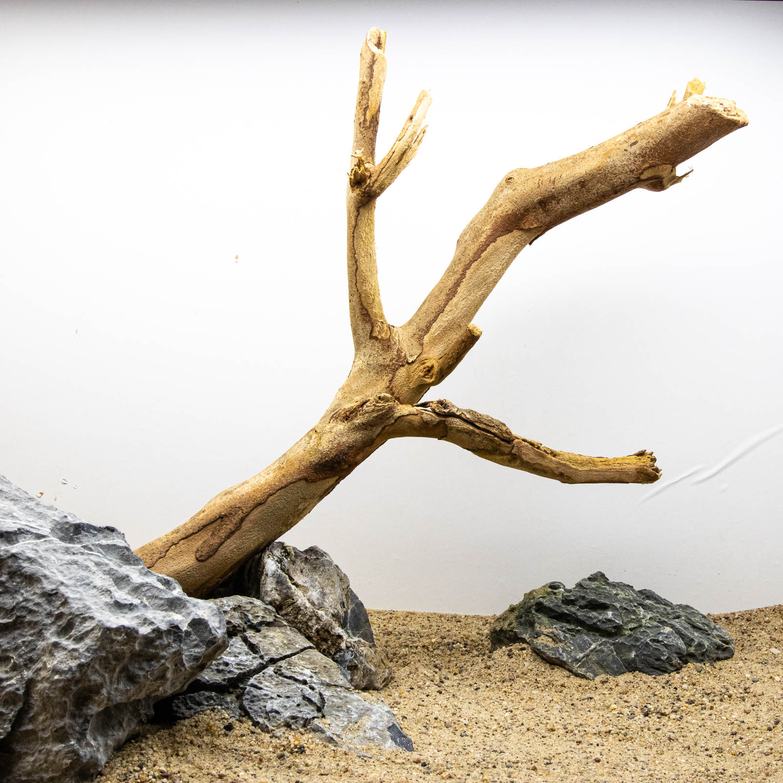 Talawa Holz mit Steinen beschwert