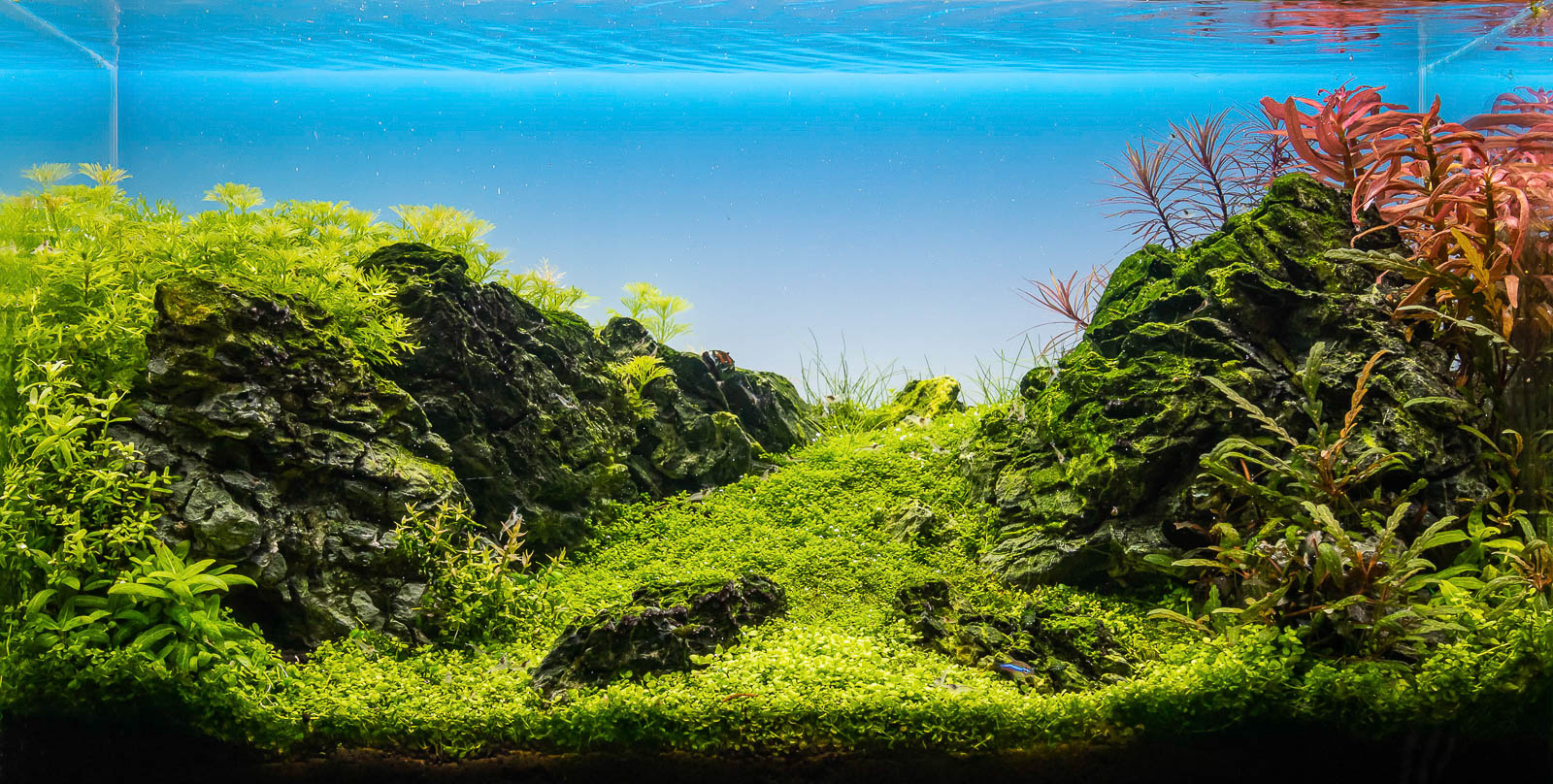 Aquarium mit Soil Bodengrund