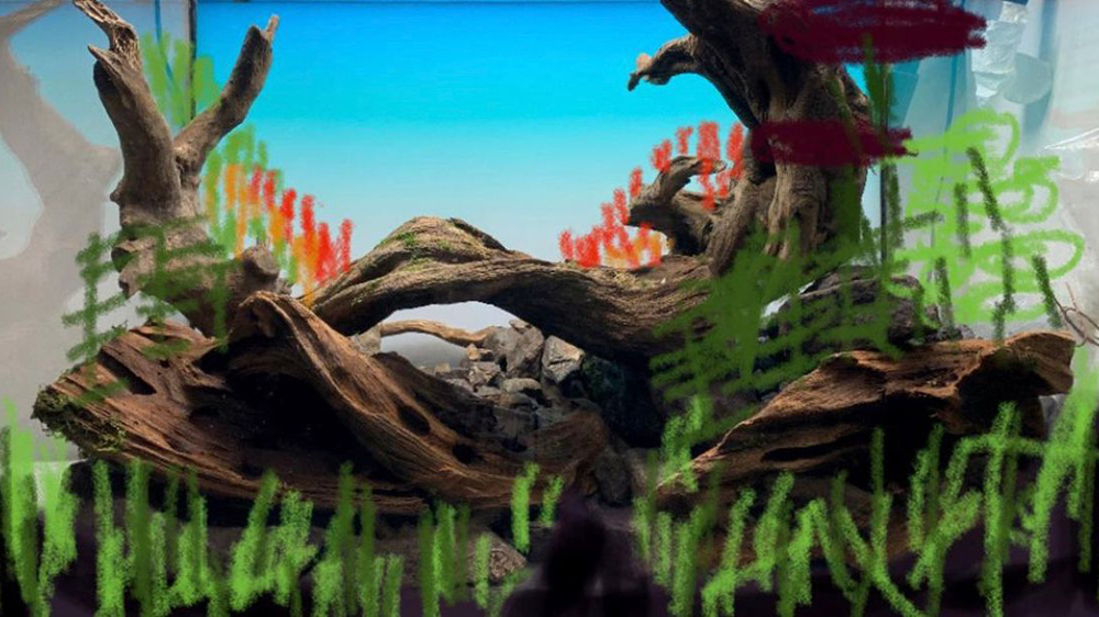 Planung der Bepflanzung Aquascape