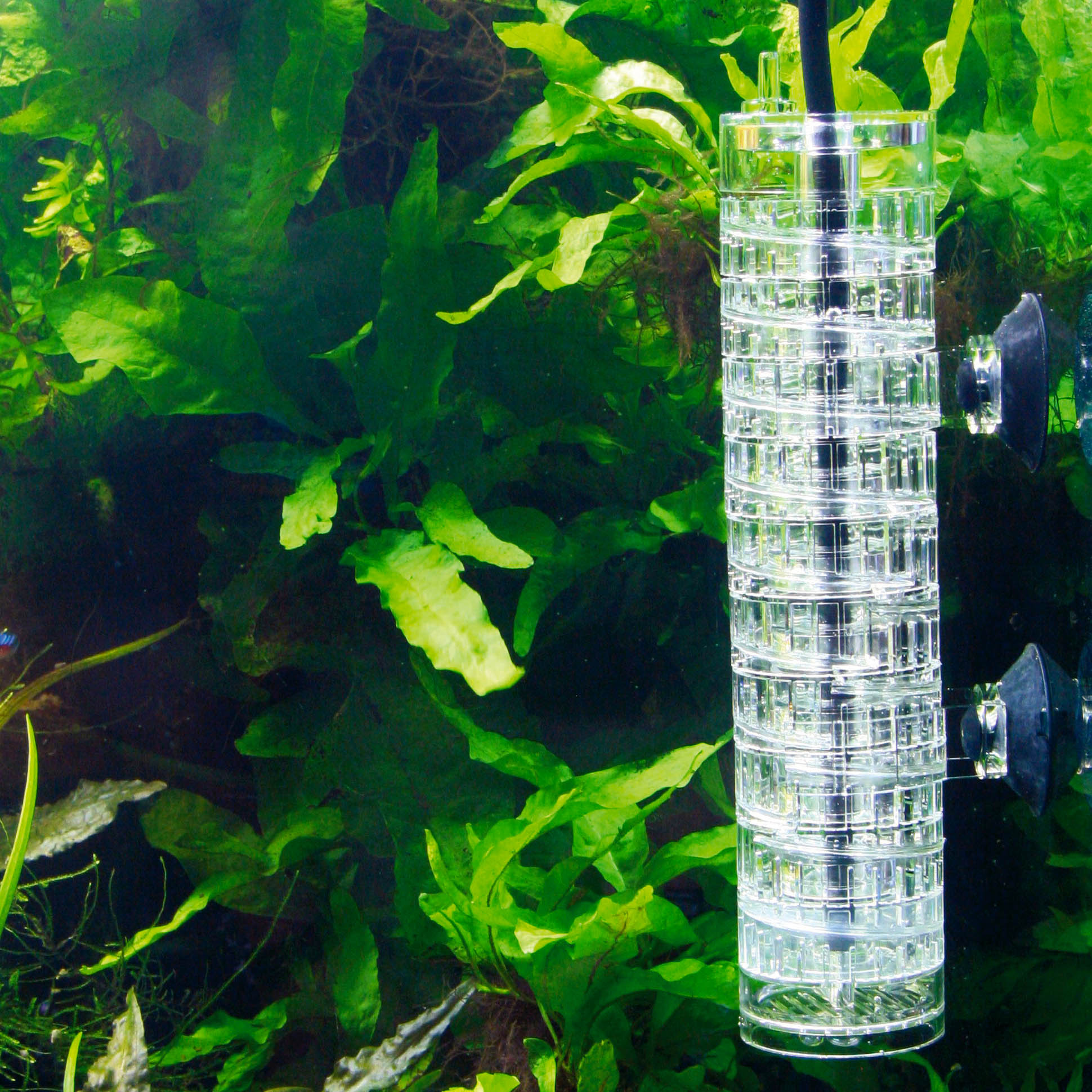 JBL Taifun CO2 Reaktor