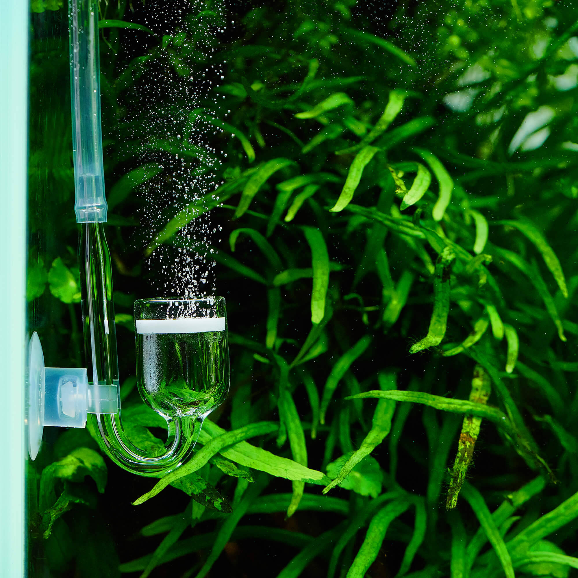 USCAPE-CO2-Diffusor-Glas-Nano