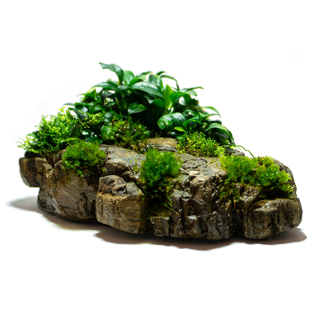 Frodo Stone im Wabi-Kusa biostethics_design