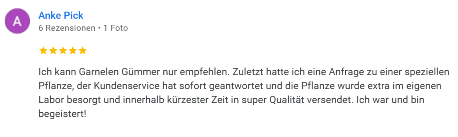 >Garnelen Gummer Kundenerfahrung Rezension 1