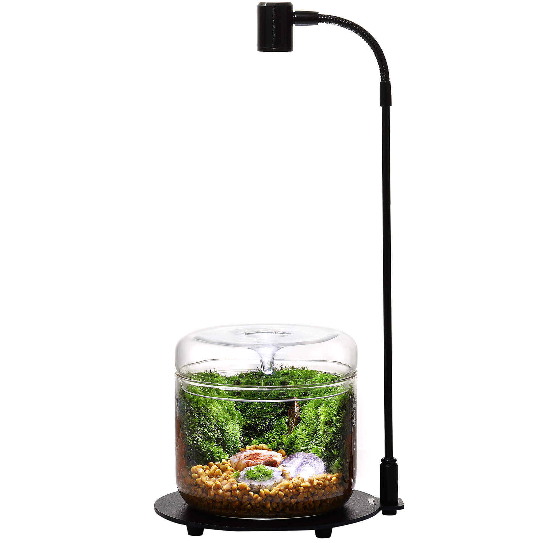 Wabi-Kusa Beleuchtung Bioloark DX03